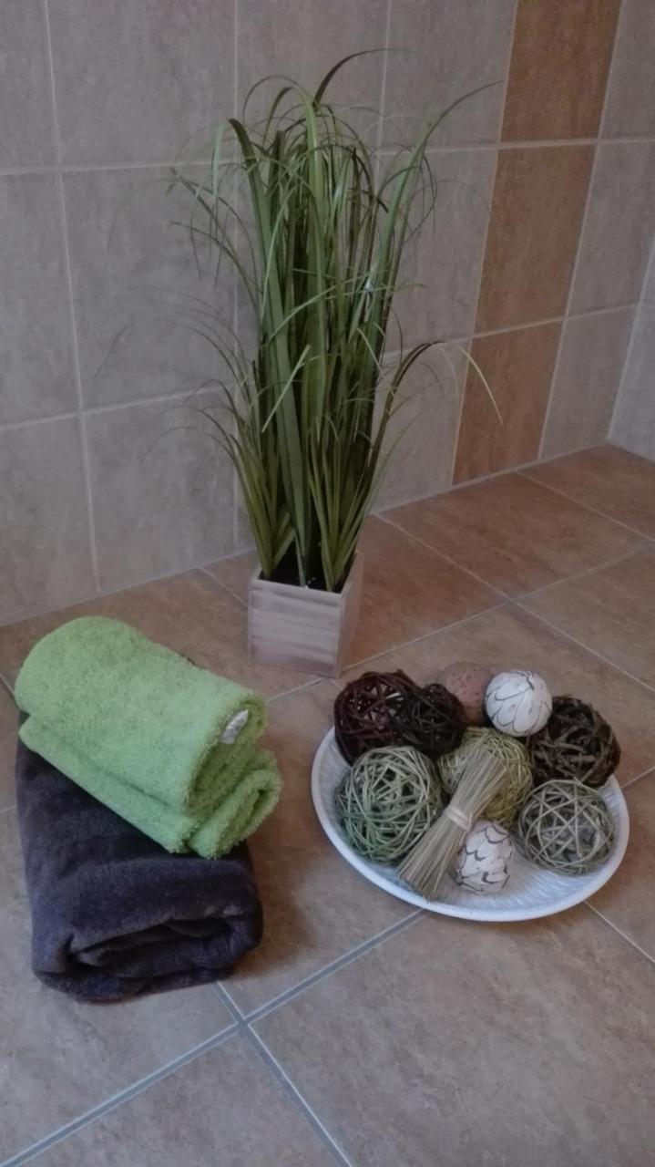 Zala Holiday Apartman Keszthely Bagian luar foto